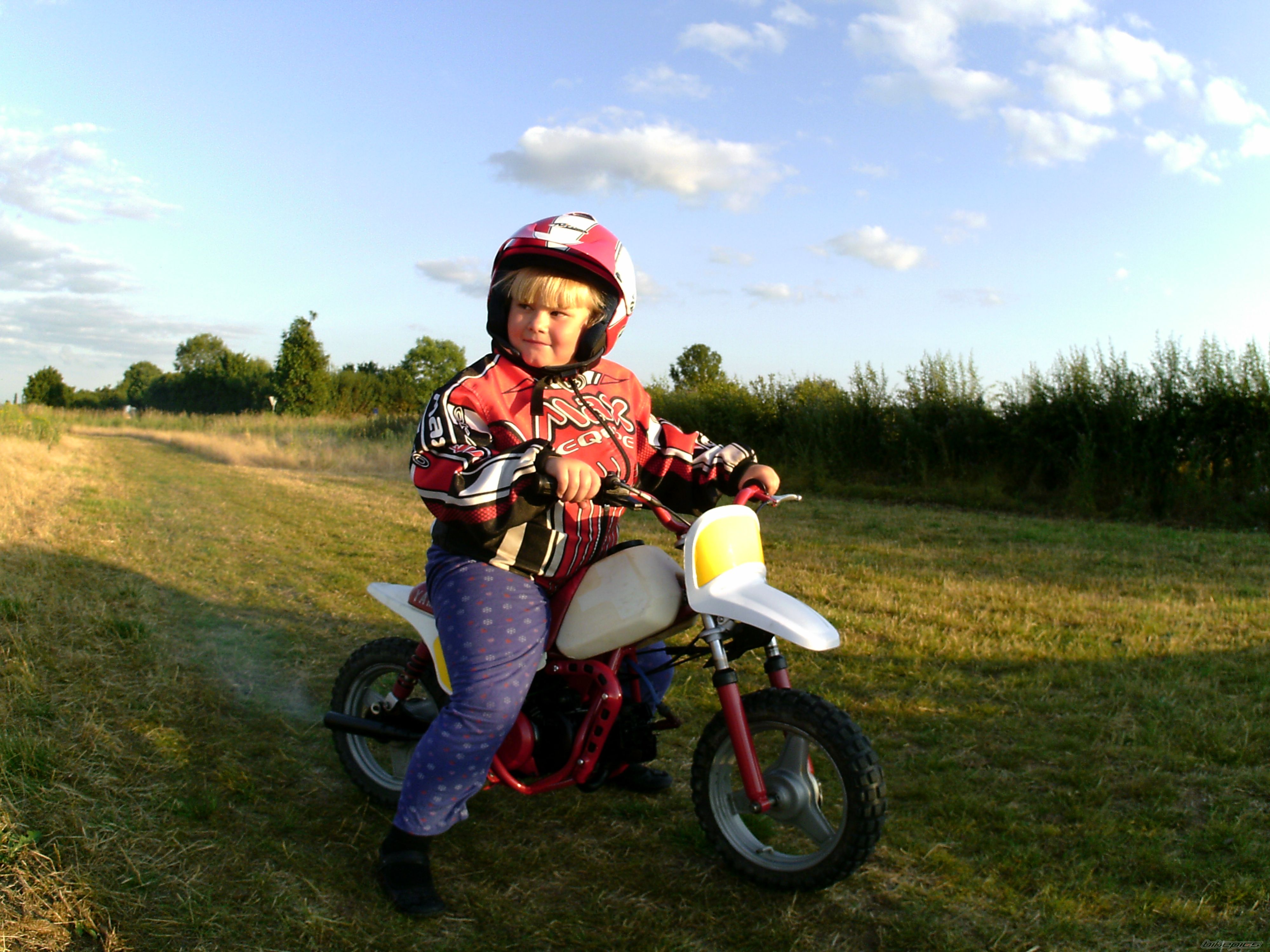 Photo 2750025