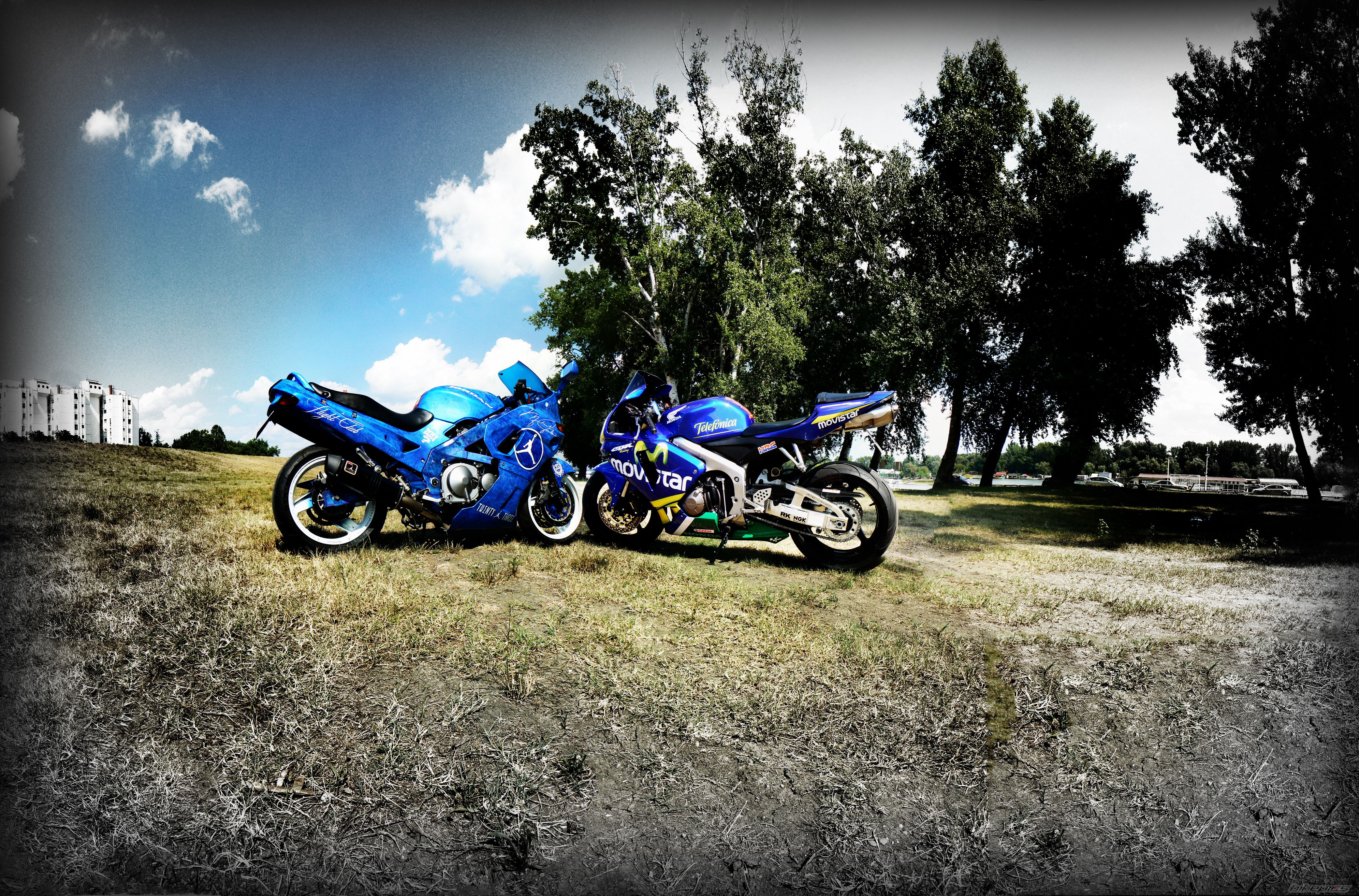 Photo 2750182
