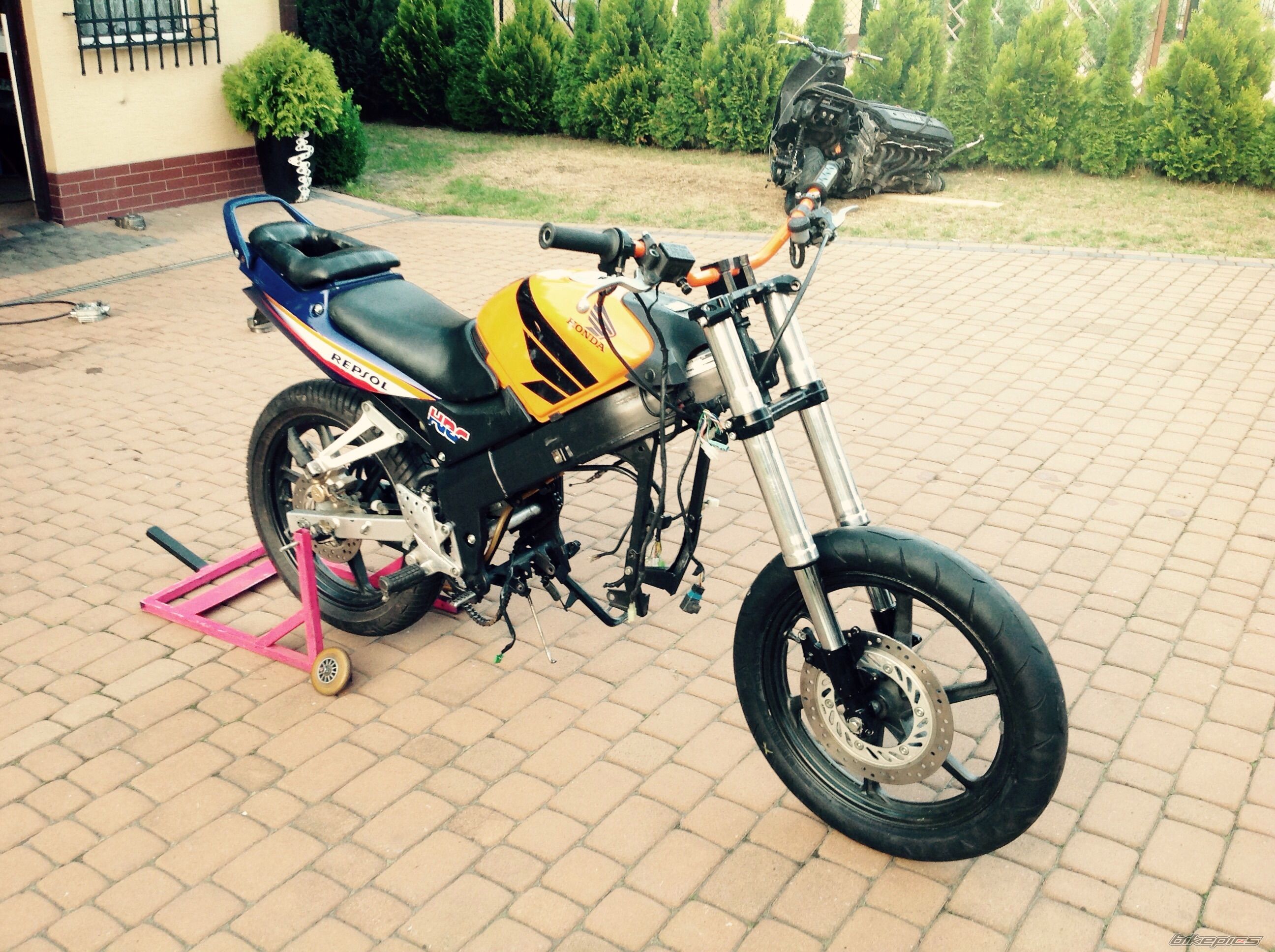 Photo 2750225