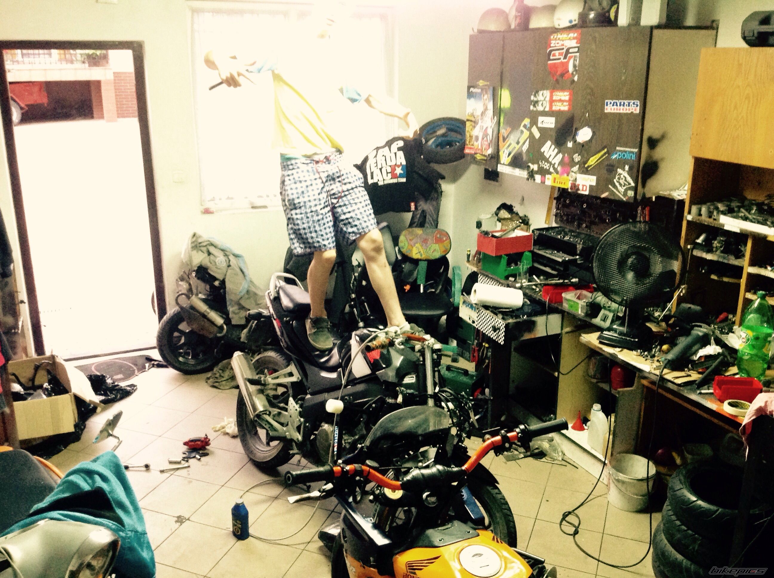 Photo 2750229
