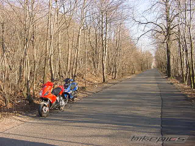 Bike Photo 275029