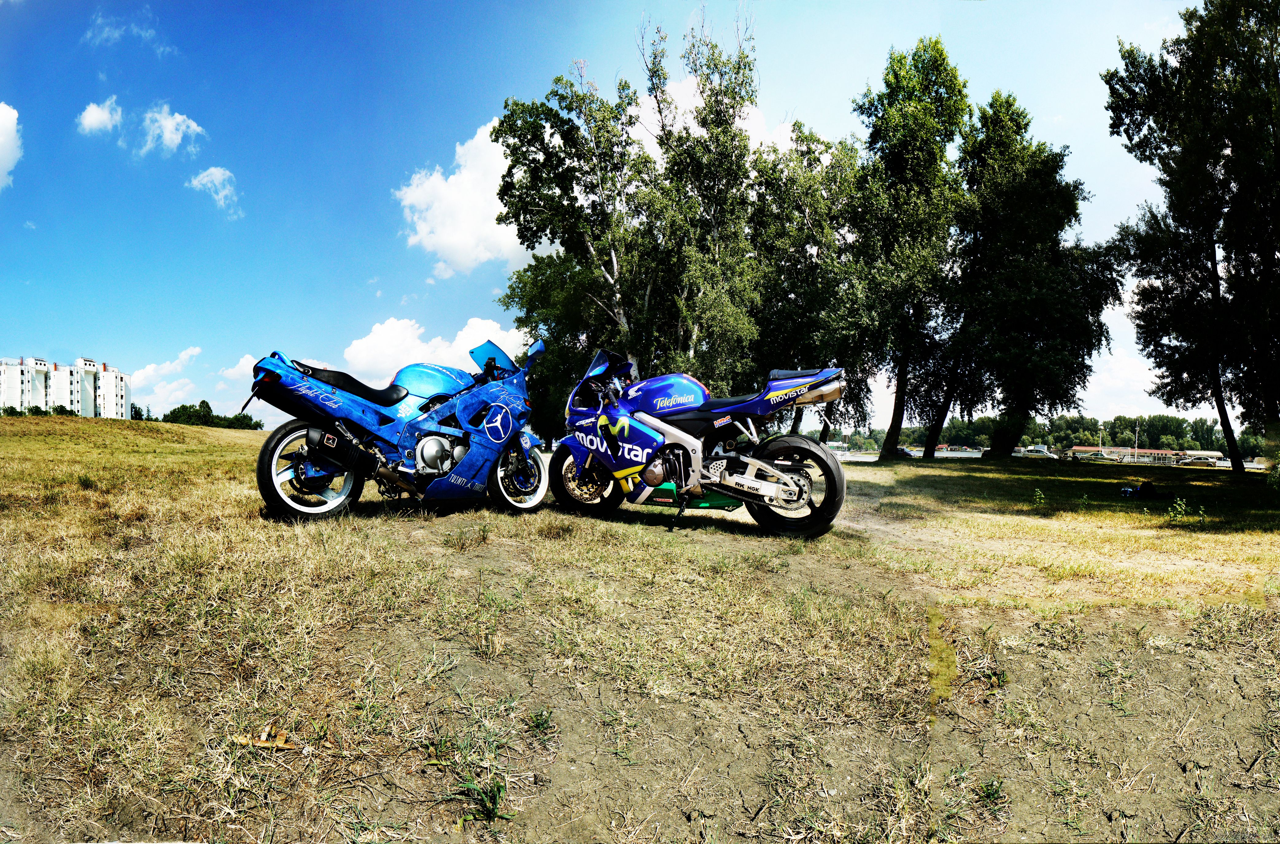 Photo 2750307