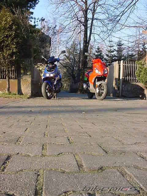 Bike Photo 275039