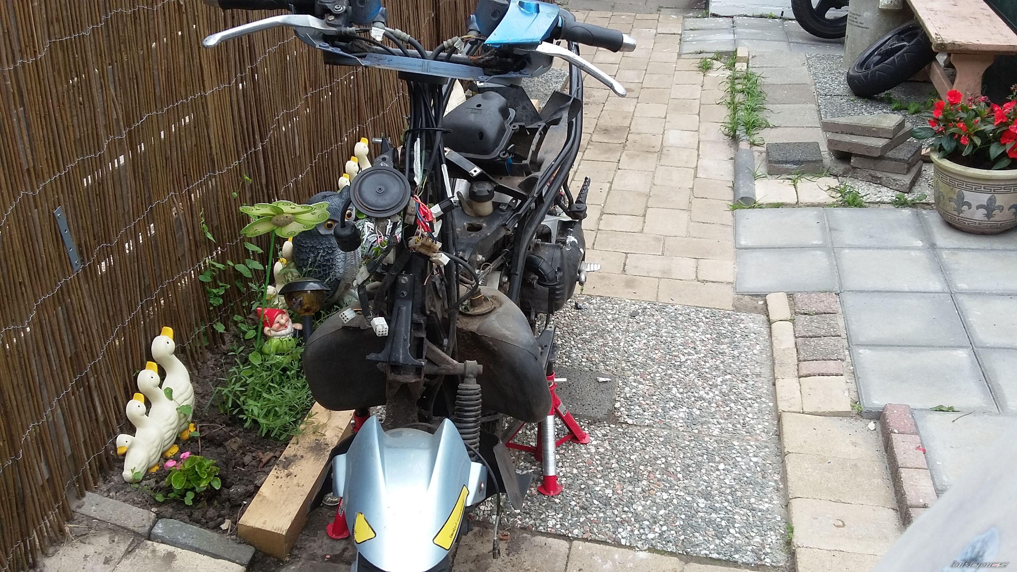 Photo 2750426