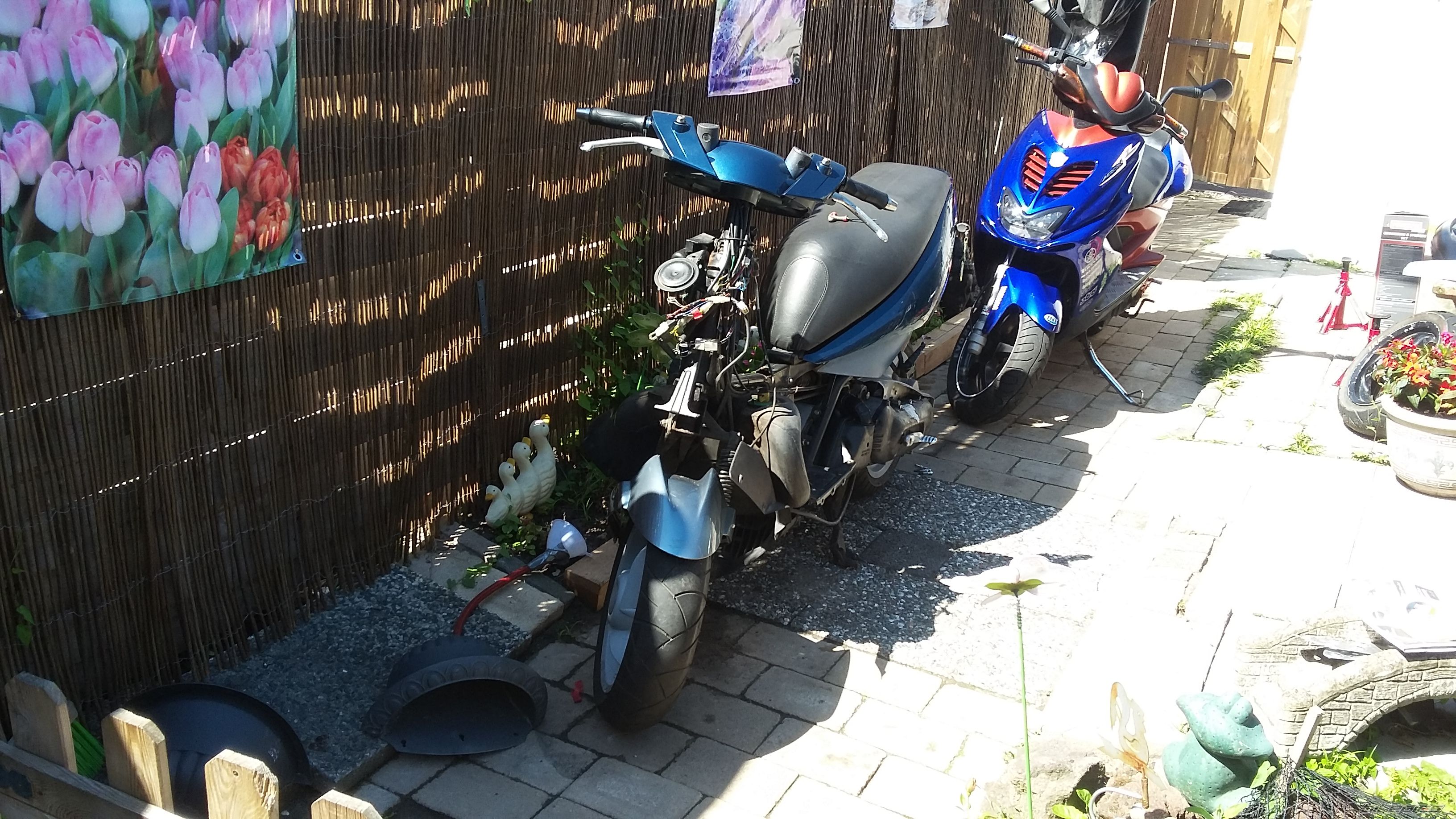 Photo 2750428