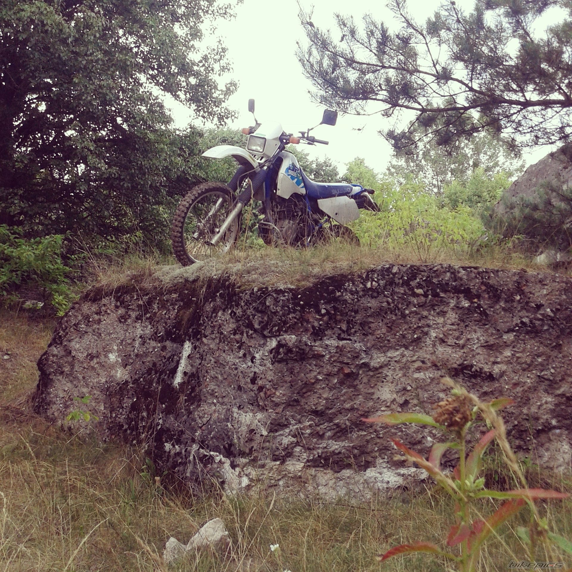 Photo 2750482