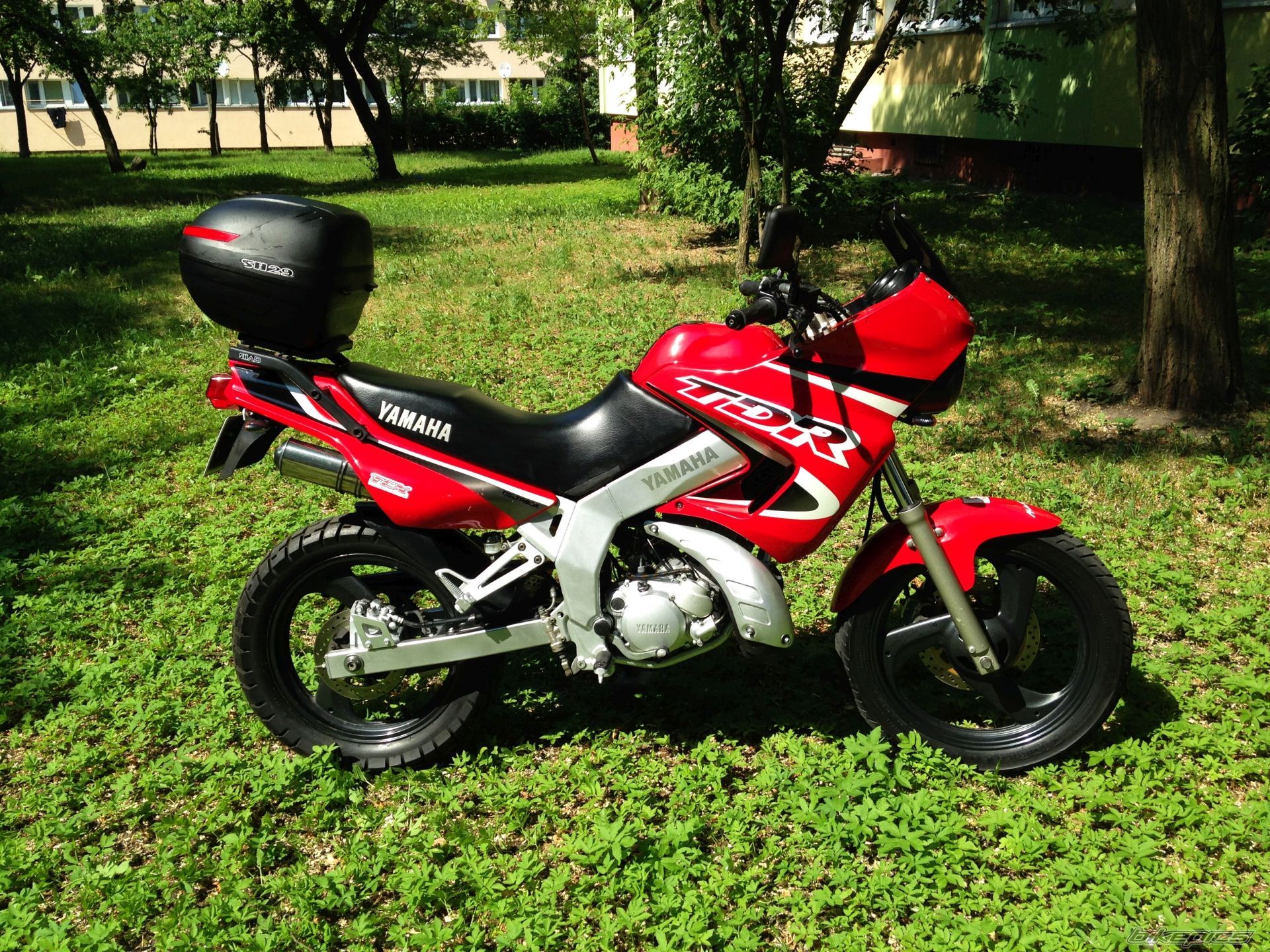 Photo 2750565