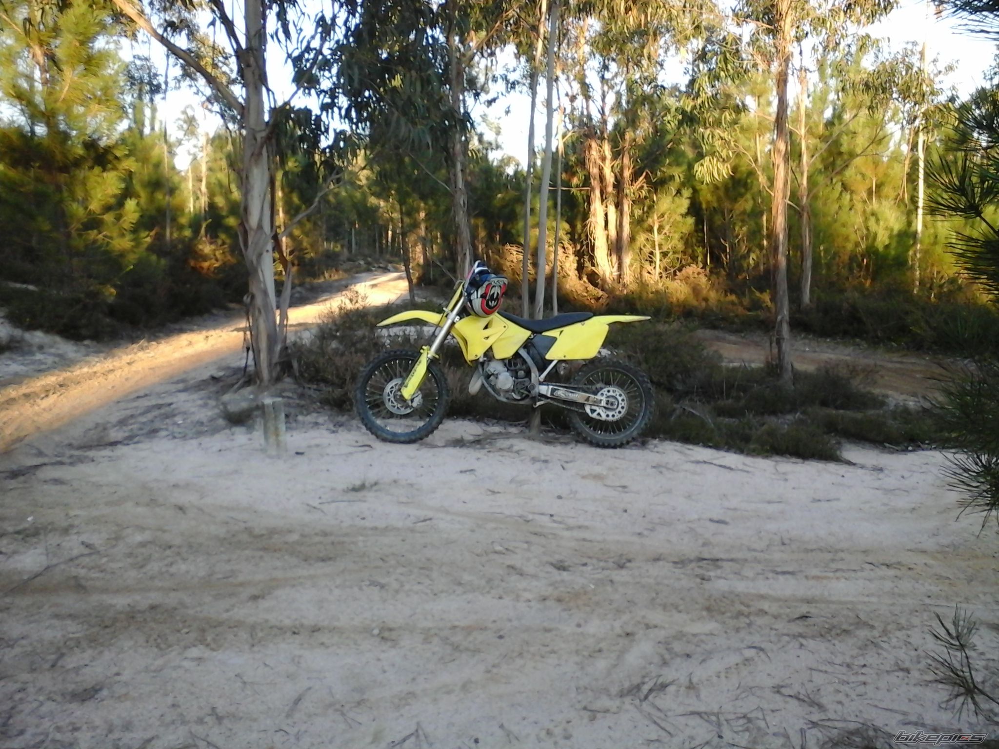 Photo 2750840
