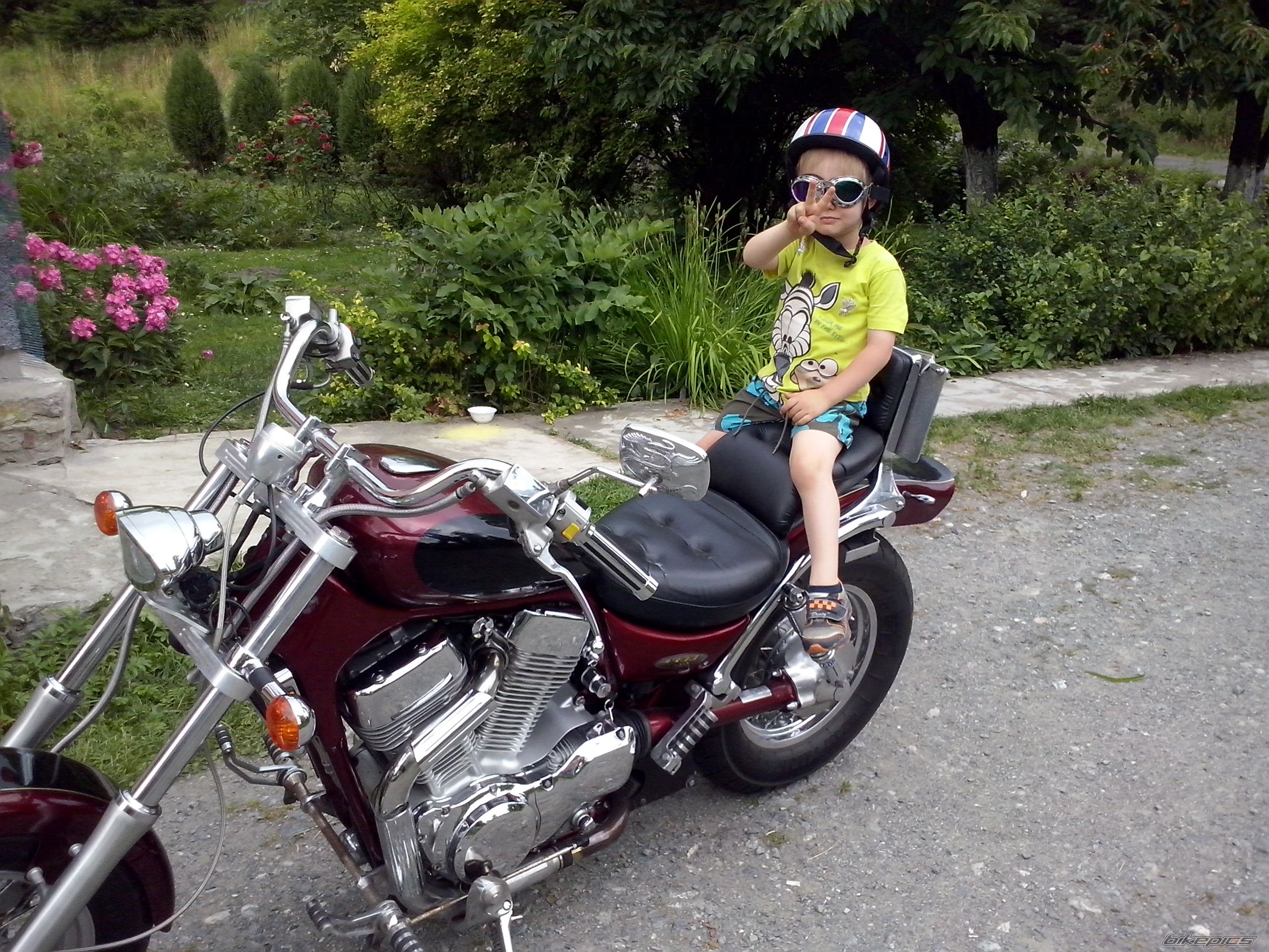 Photo 2751042