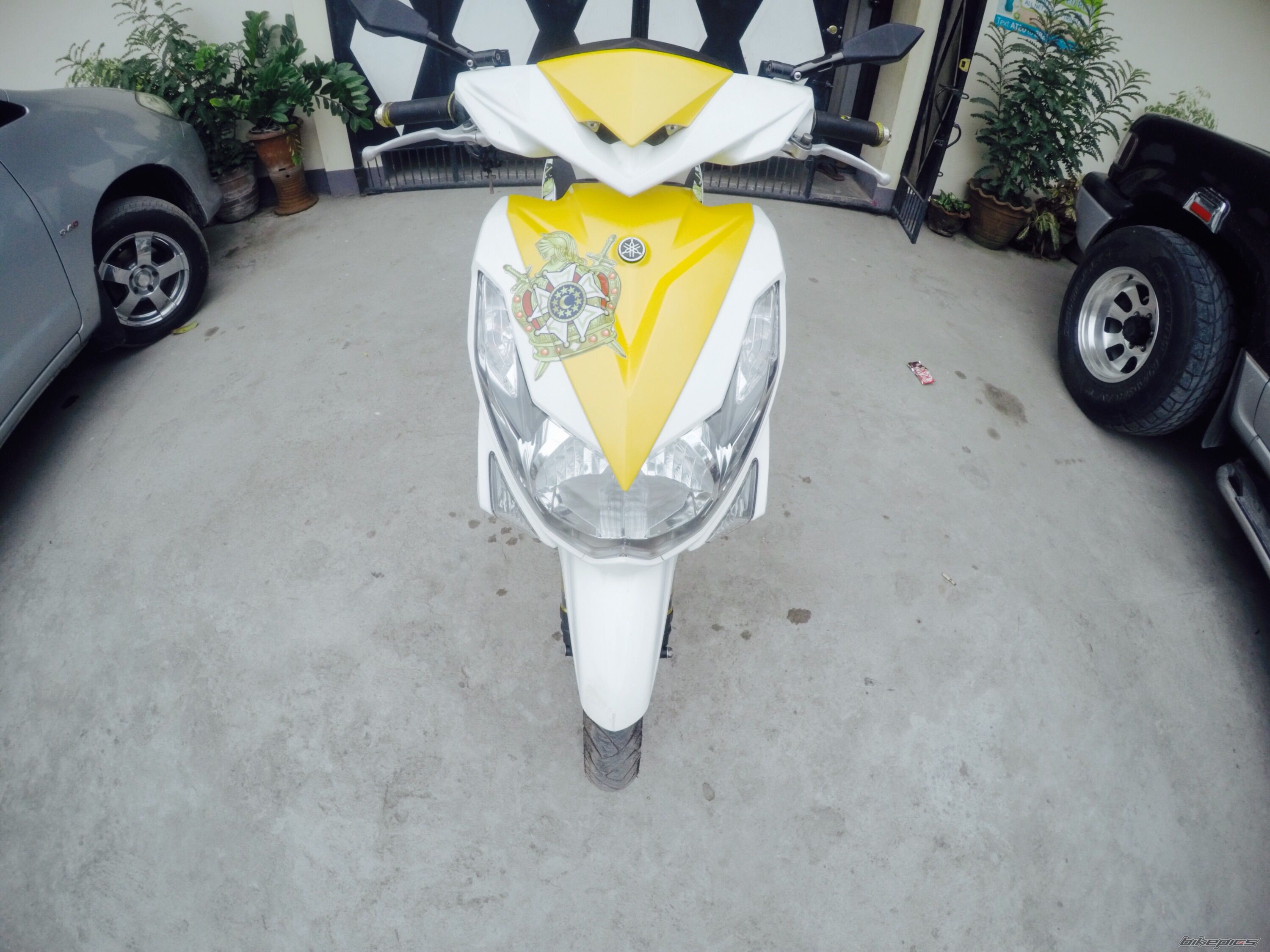 Photo 2751118