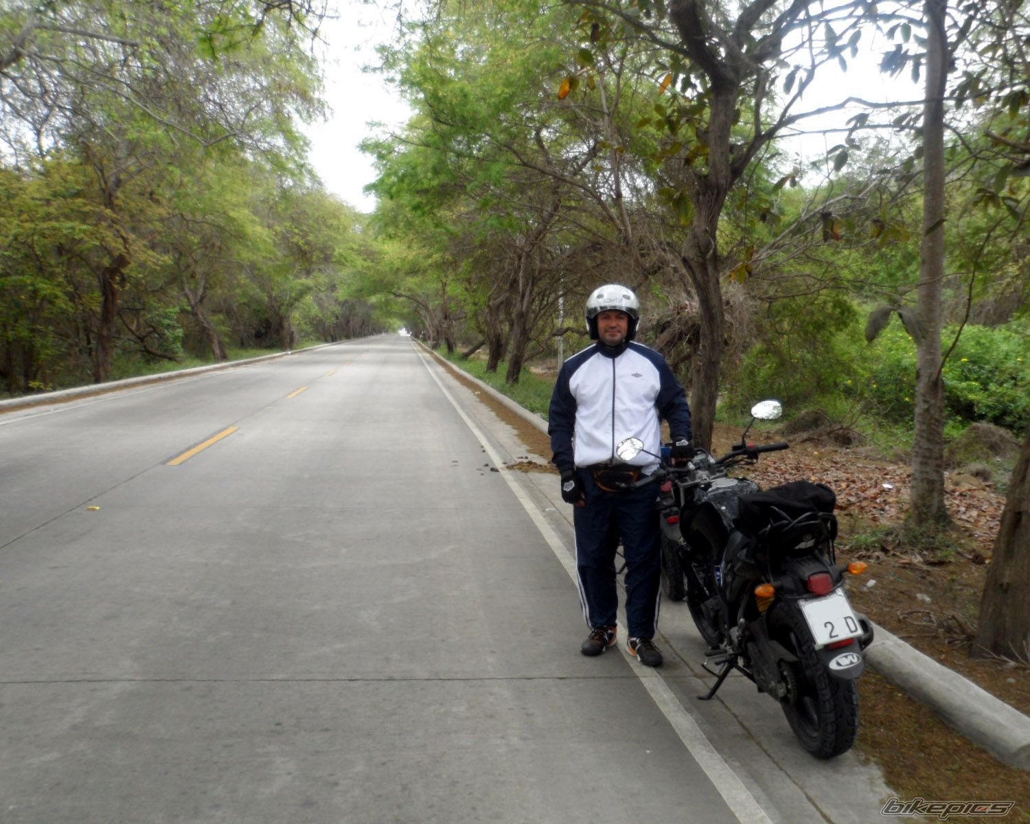 Photo 2751341
