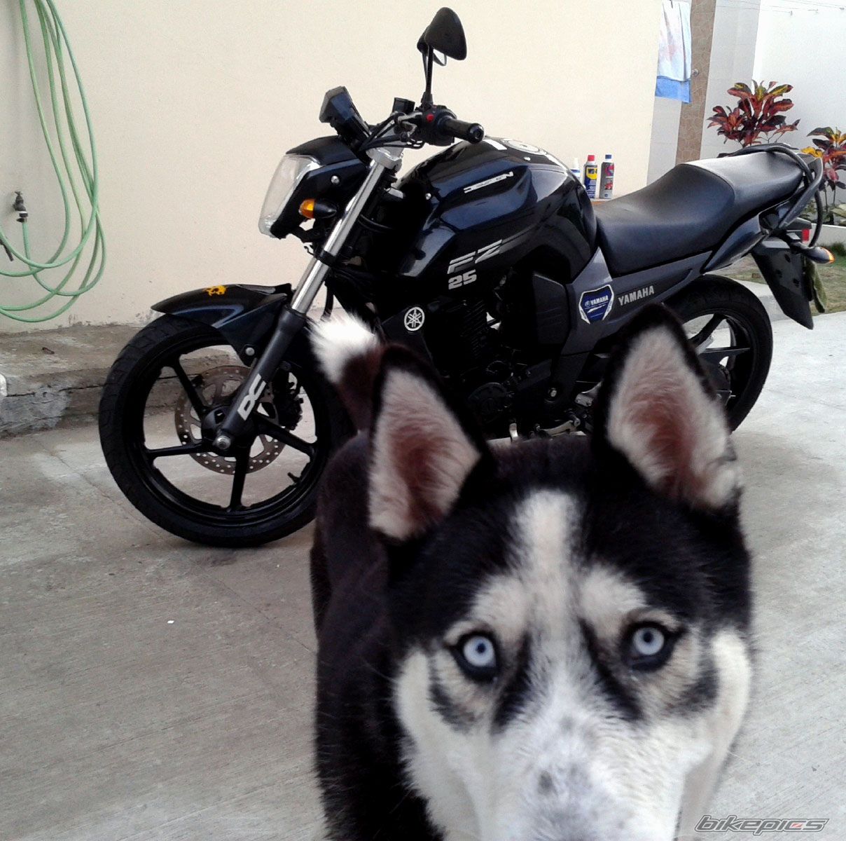 Photo 2751344