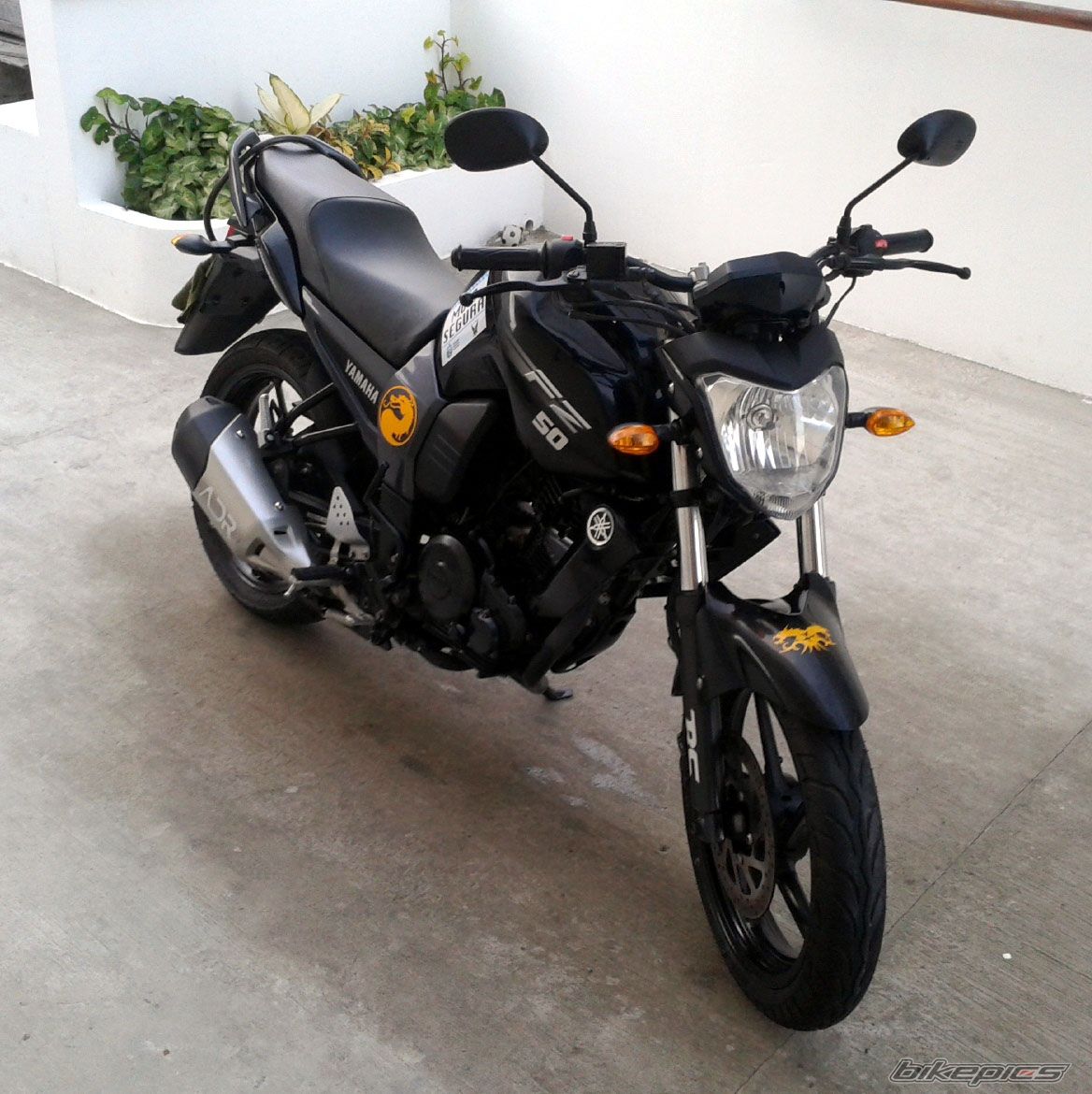 Photo 2751345