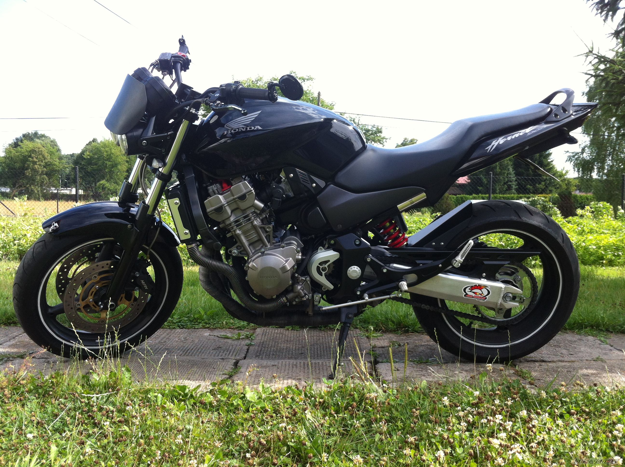 Photo 2751365