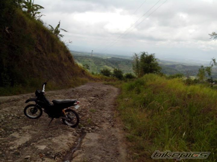 Photo 2751477