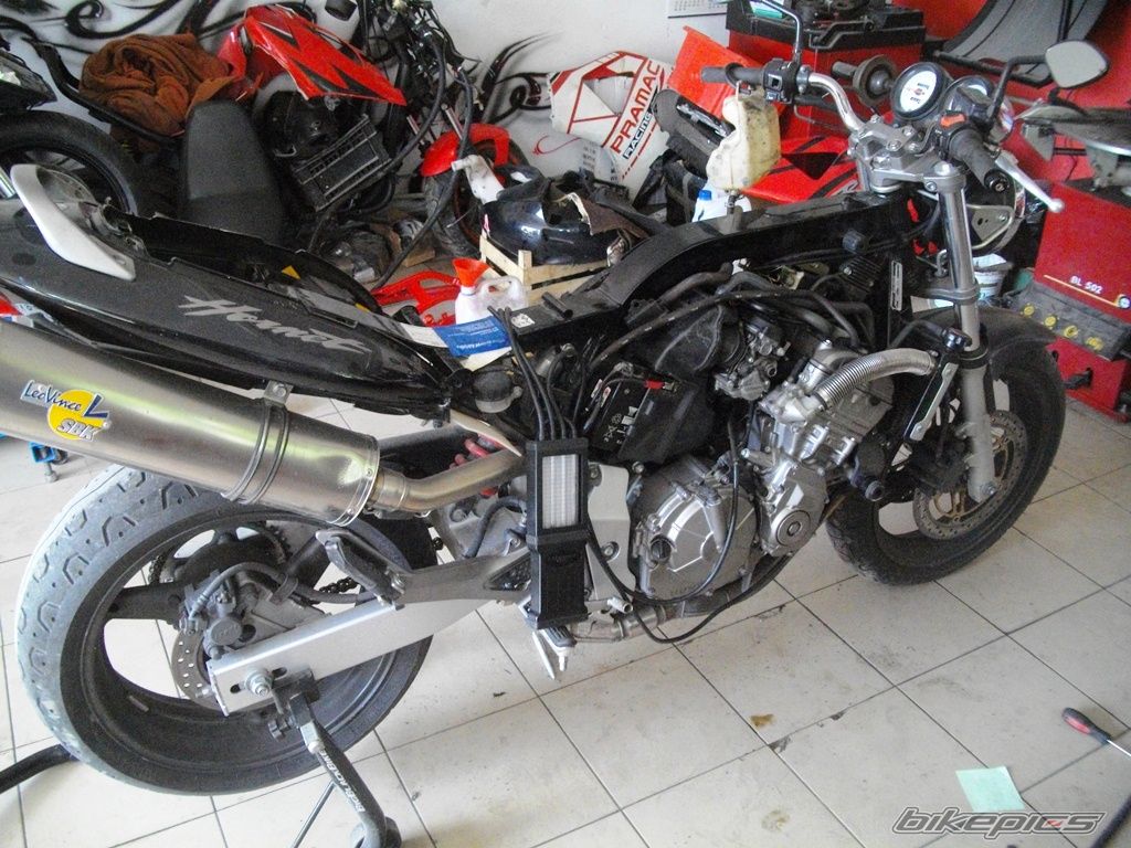 Photo 2751545