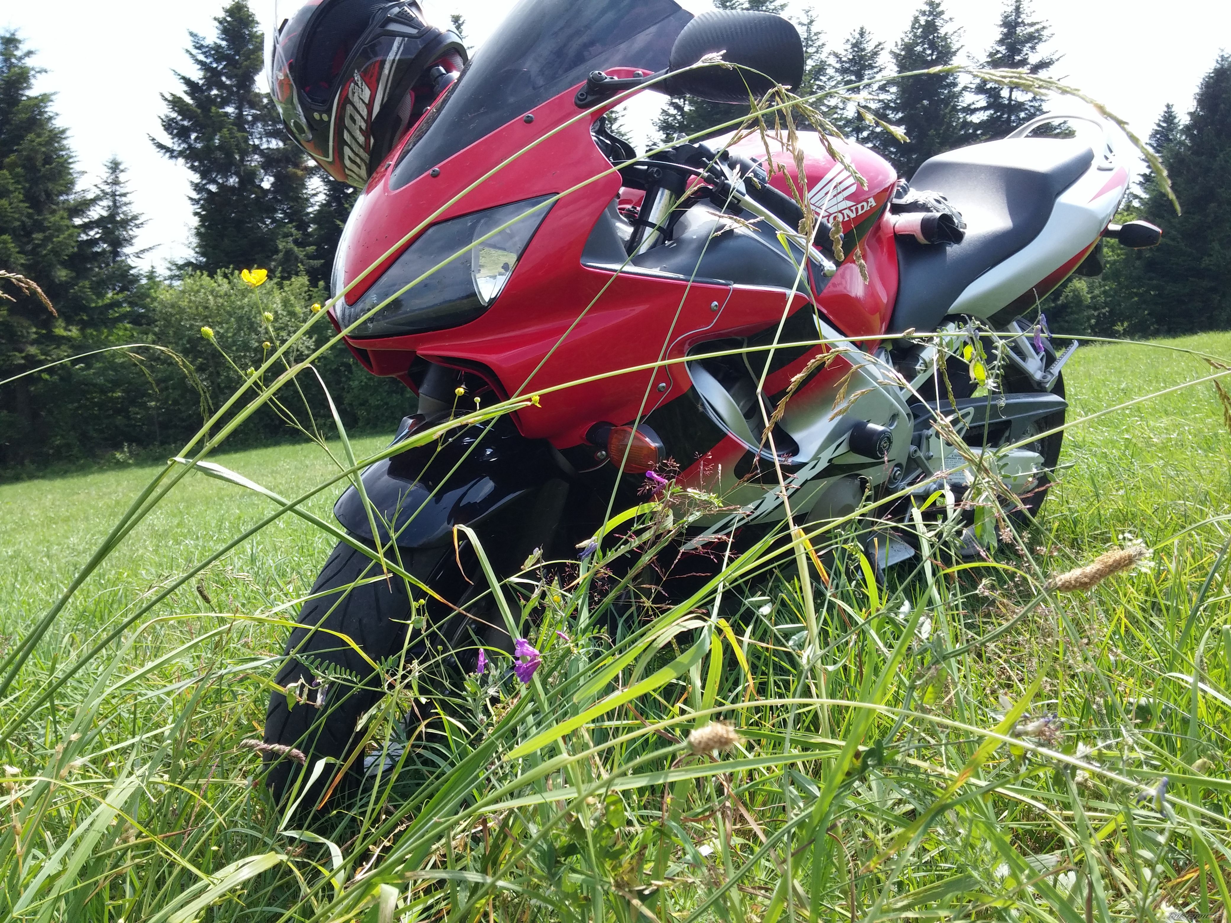 Photo 2751711