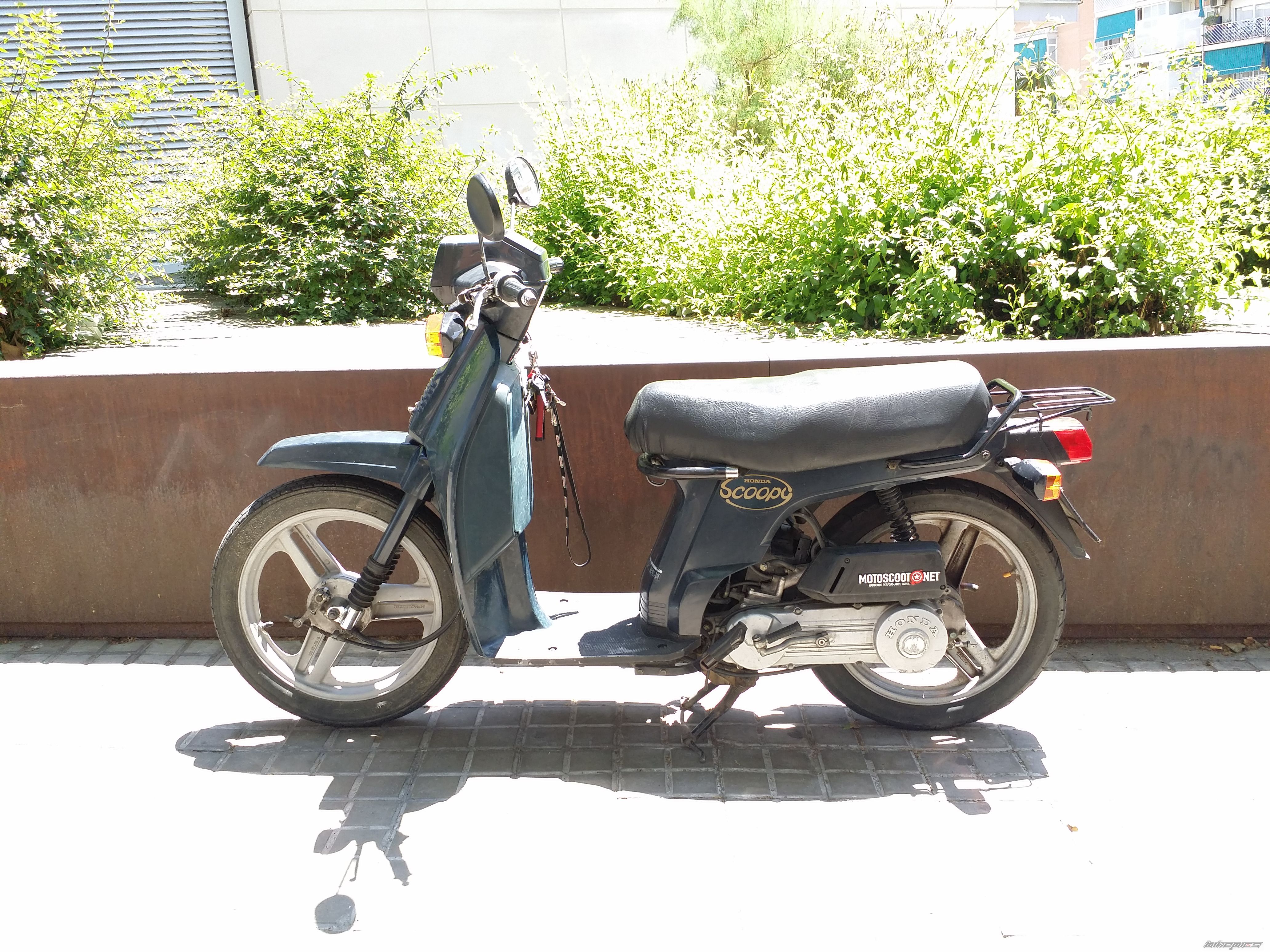 Photo 2751821