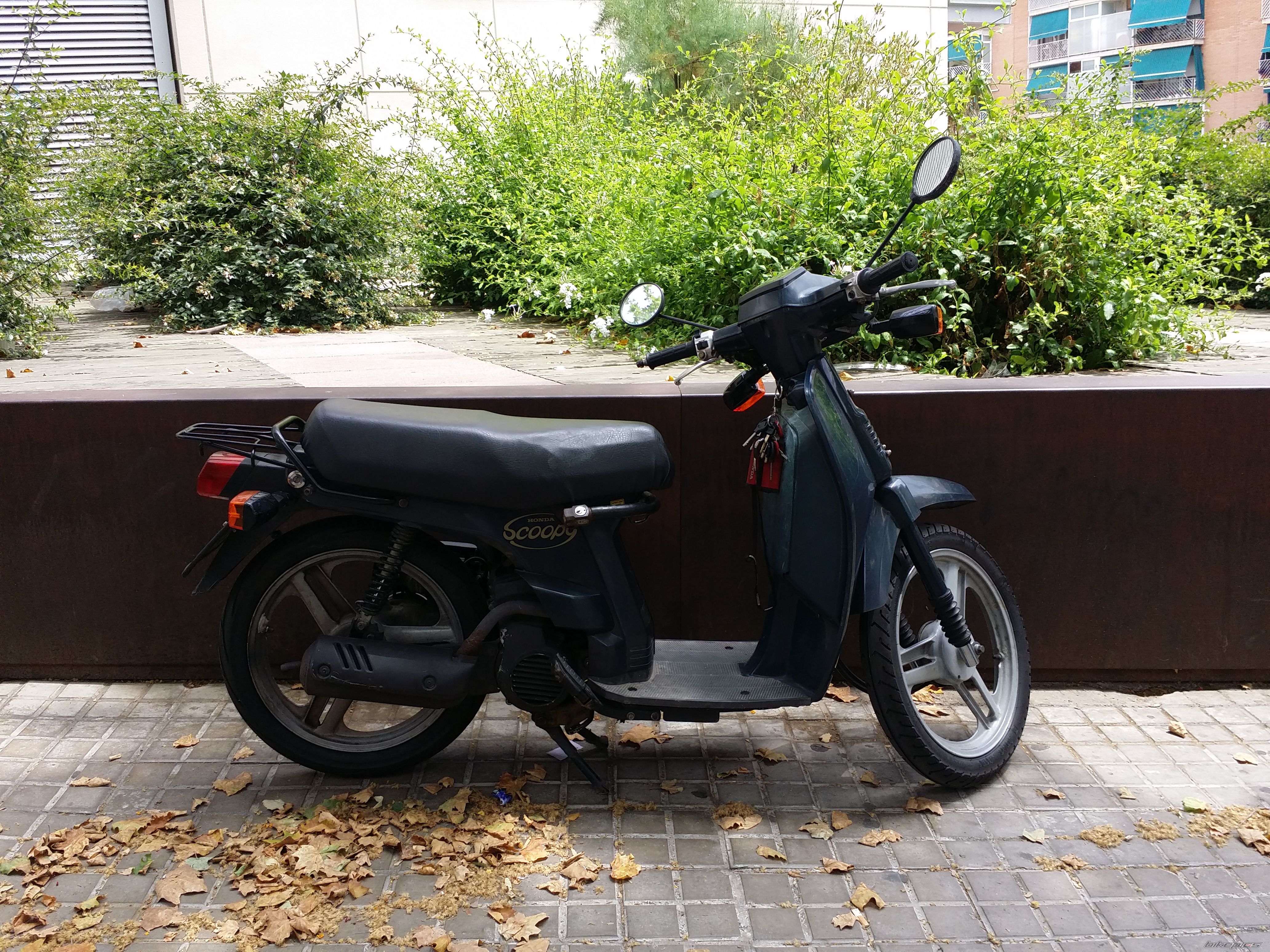 Scoopy 75 (SH75)