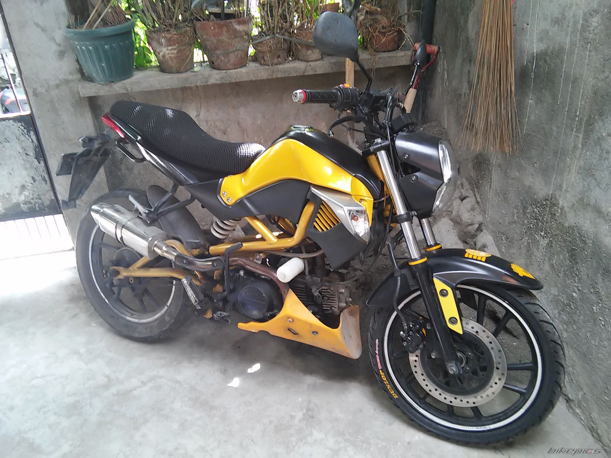 Photo 2752076