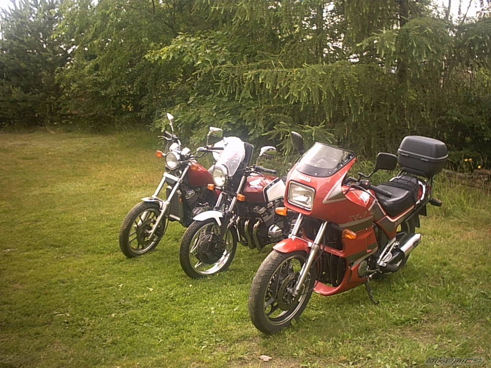Photo 275233