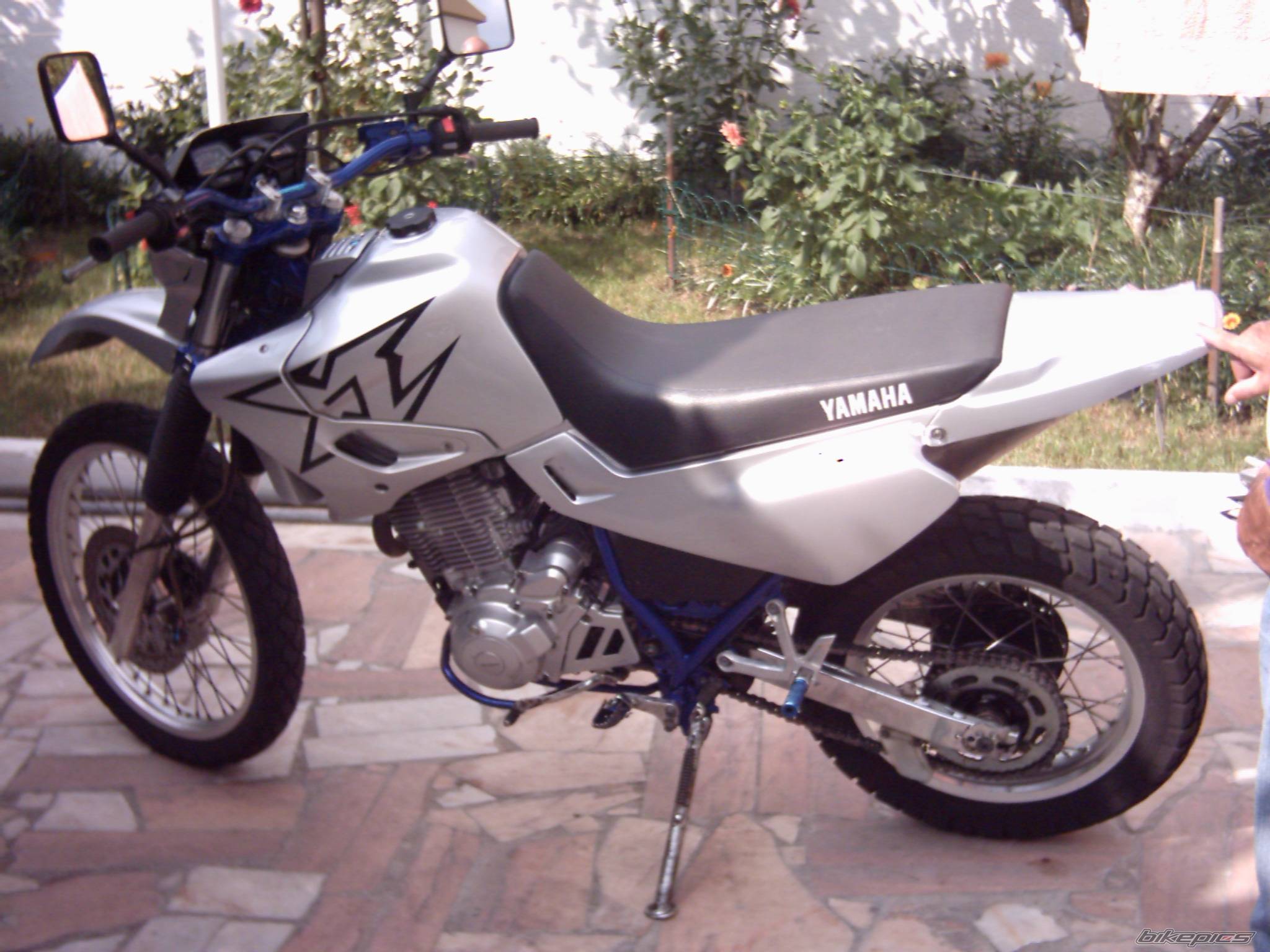 Photo 275234