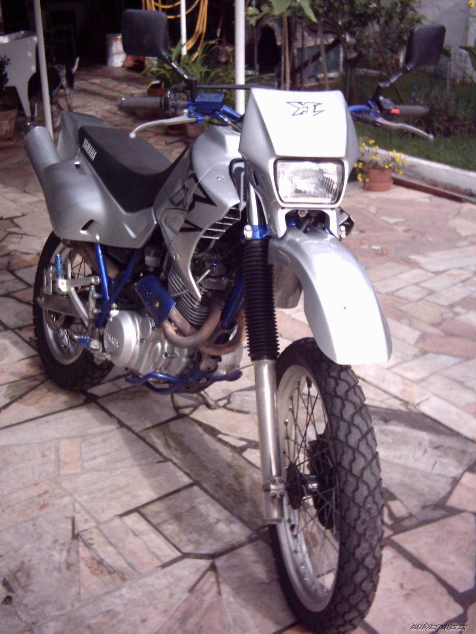 Photo 275236