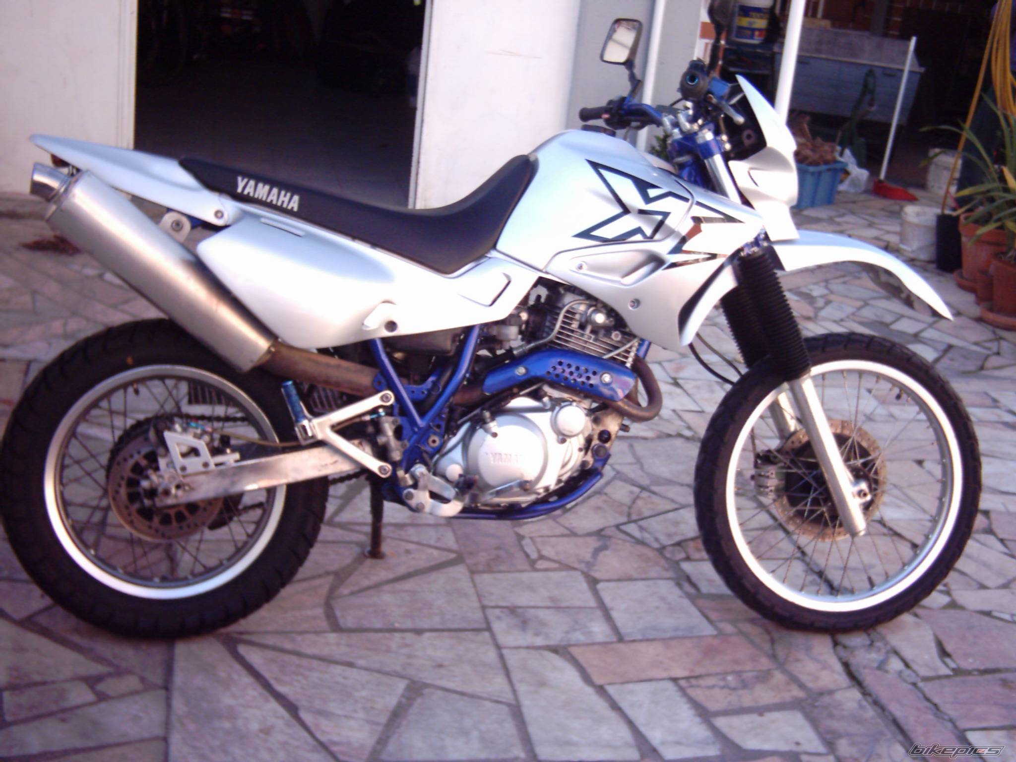 Photo 275238