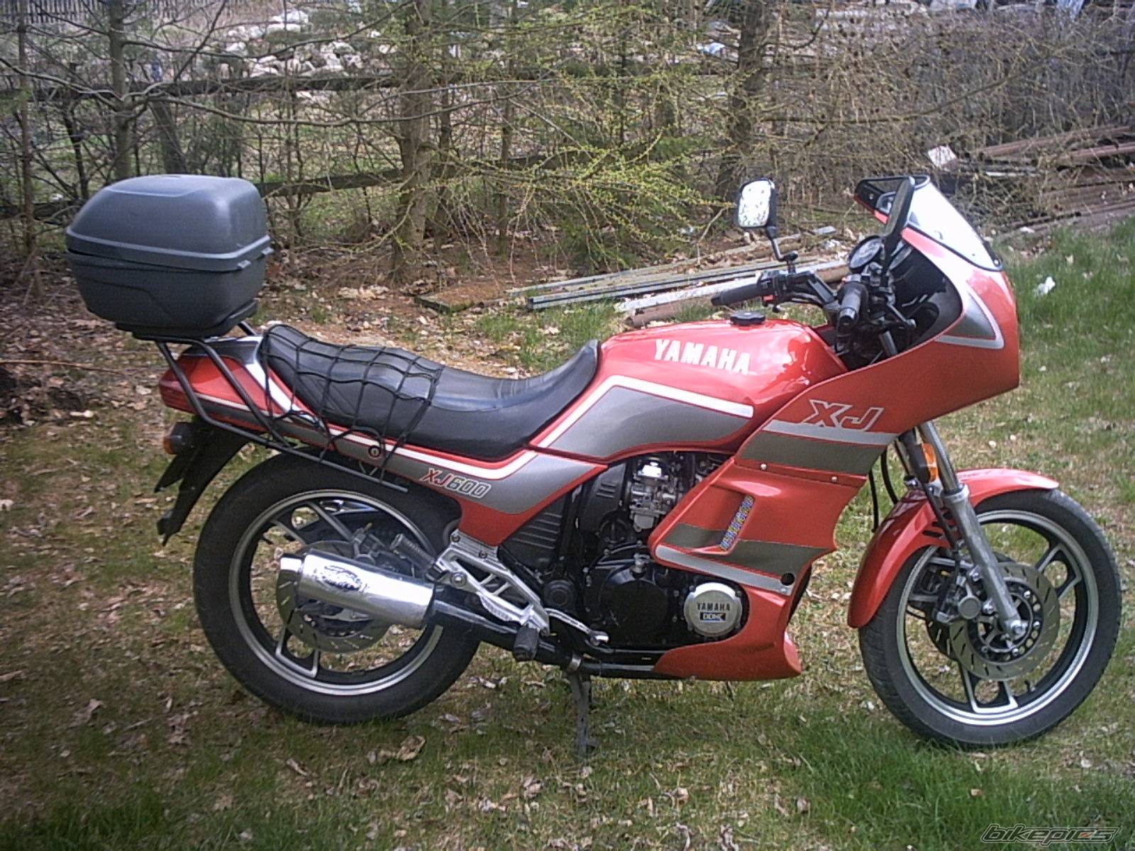 Photo 275239