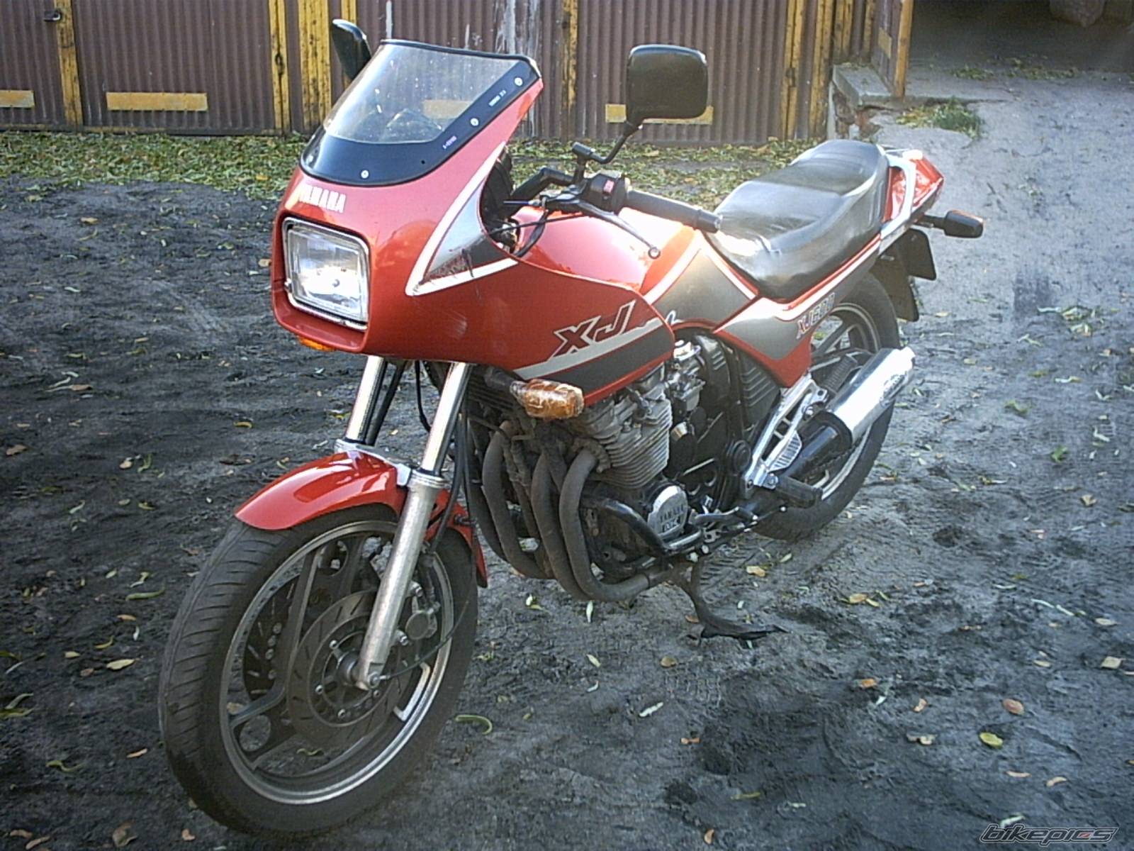 Photo 275248