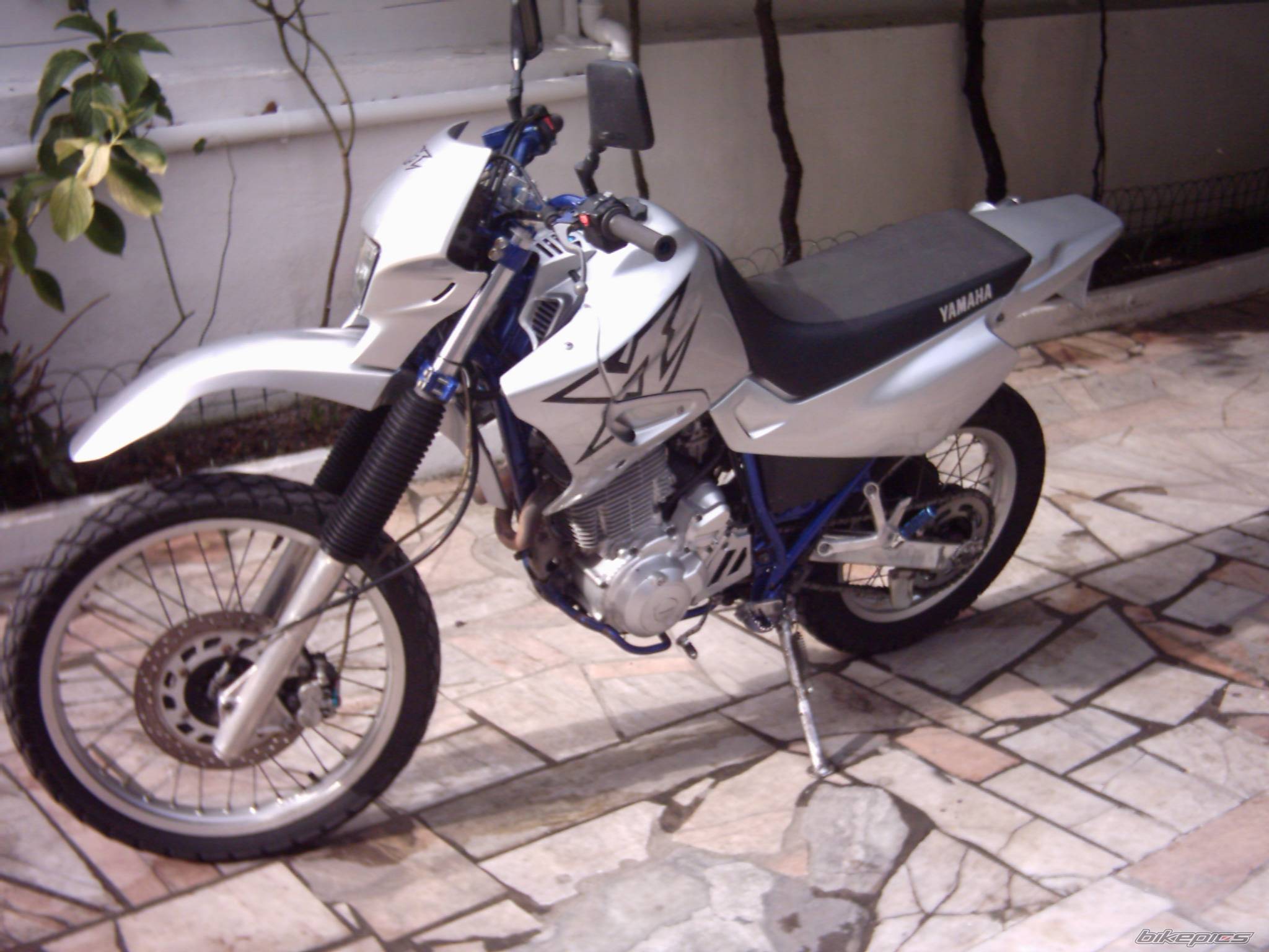 Photo 275249