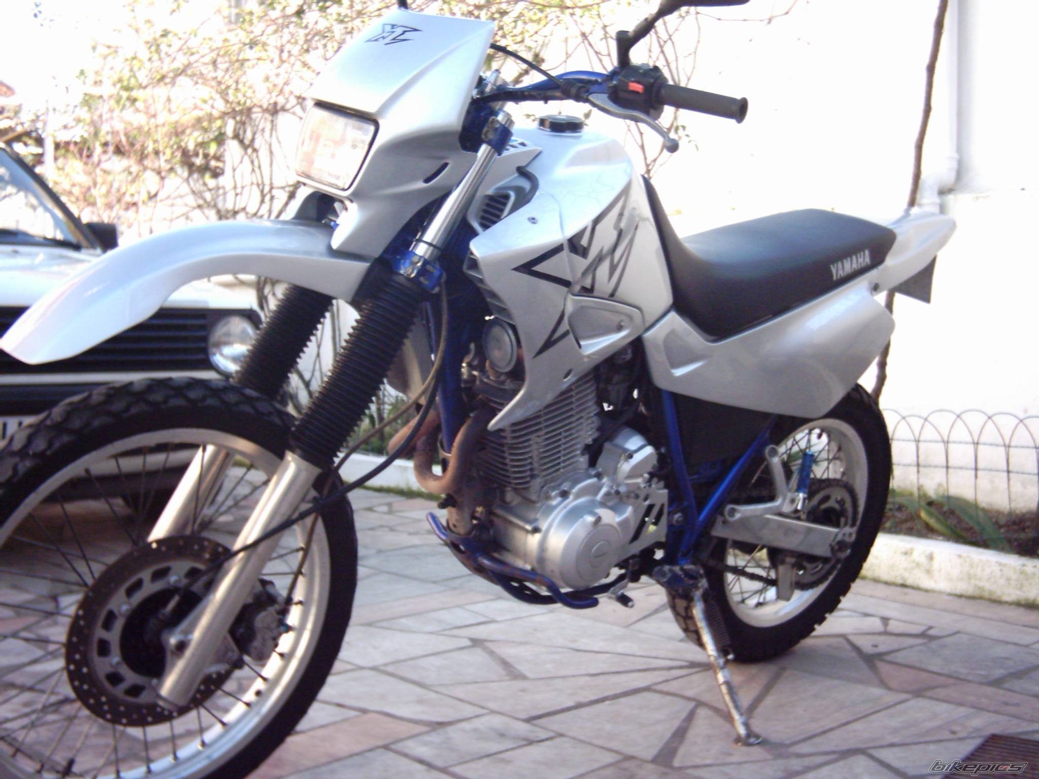 Photo 275251