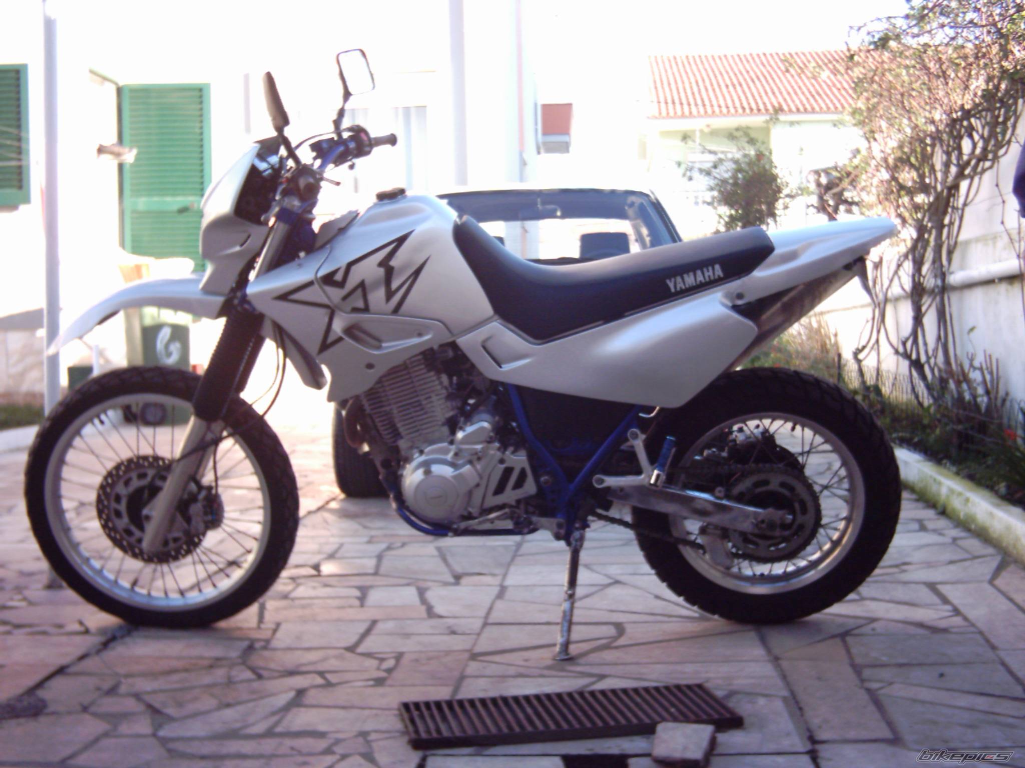 Photo 275253