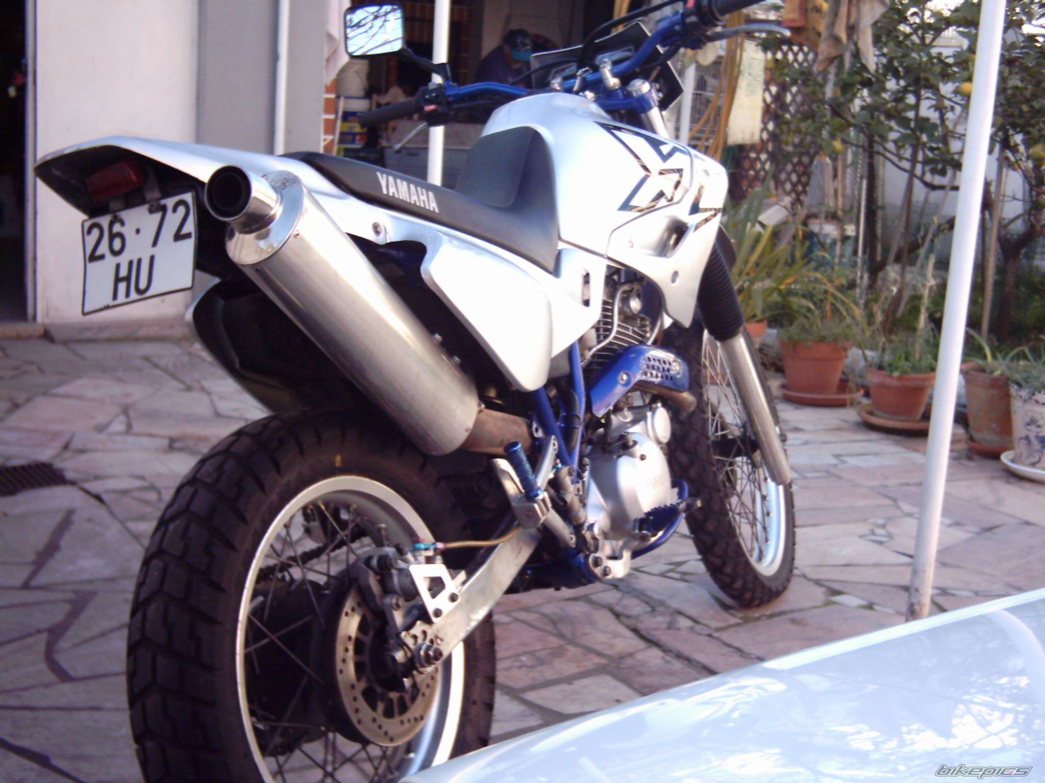 Photo 275255