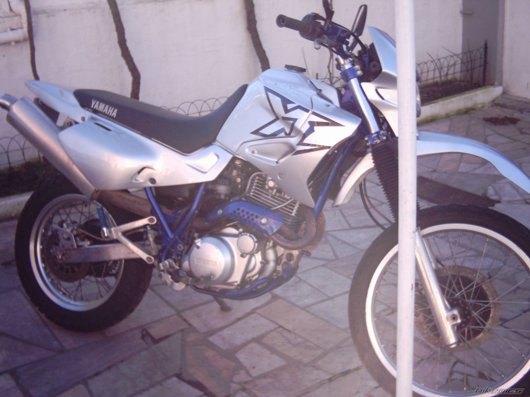 Photo 275257