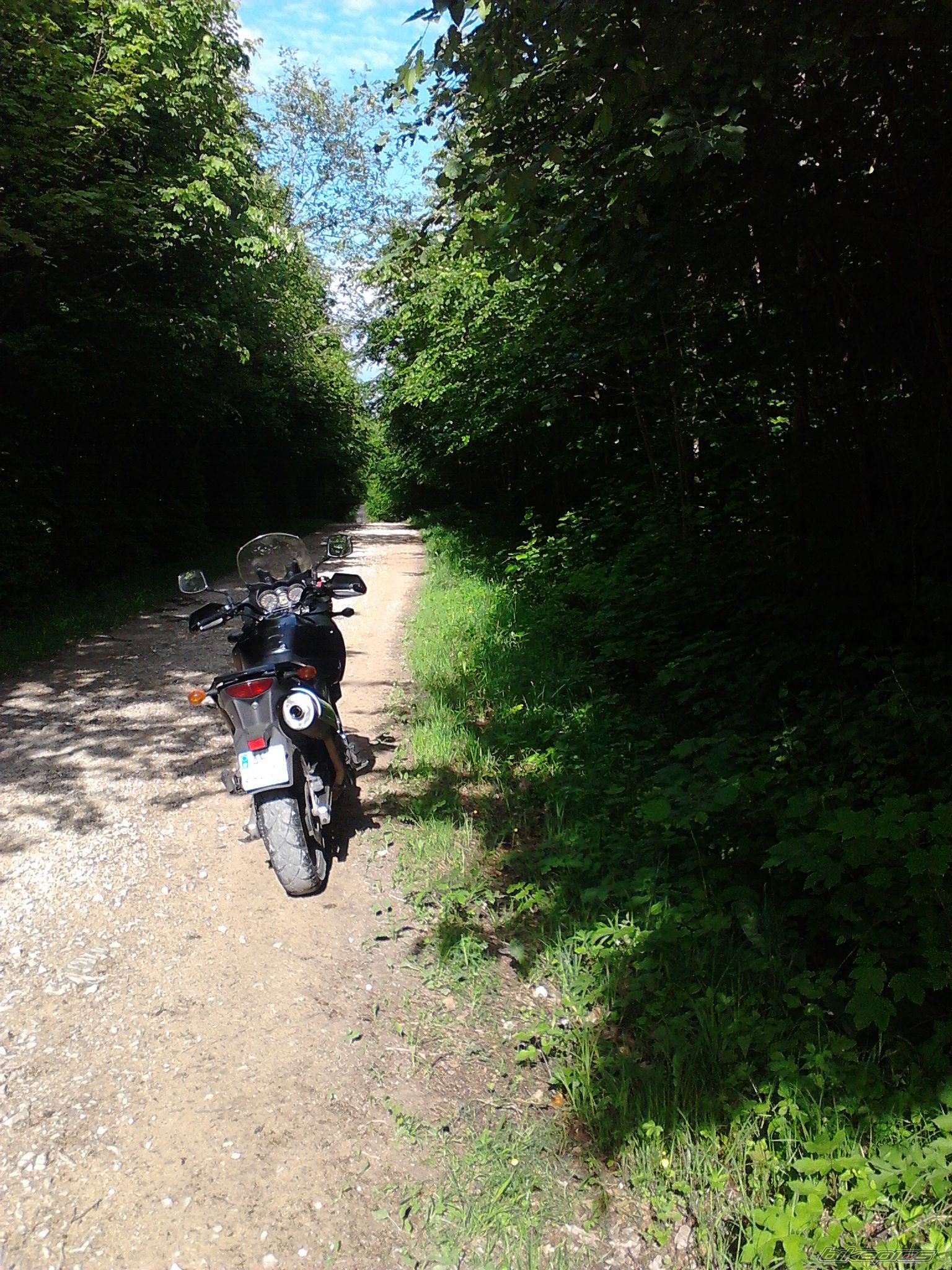 Photo 2752595