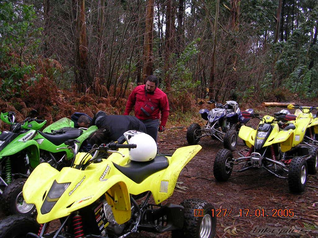 Photo 275273