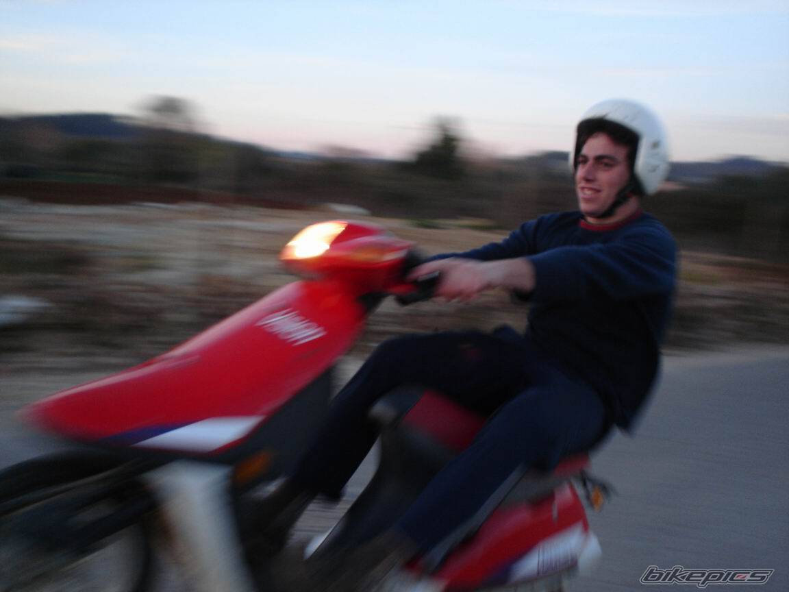 Photo 275274