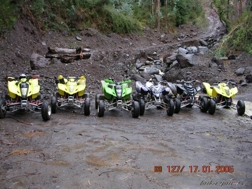 Photo 275278