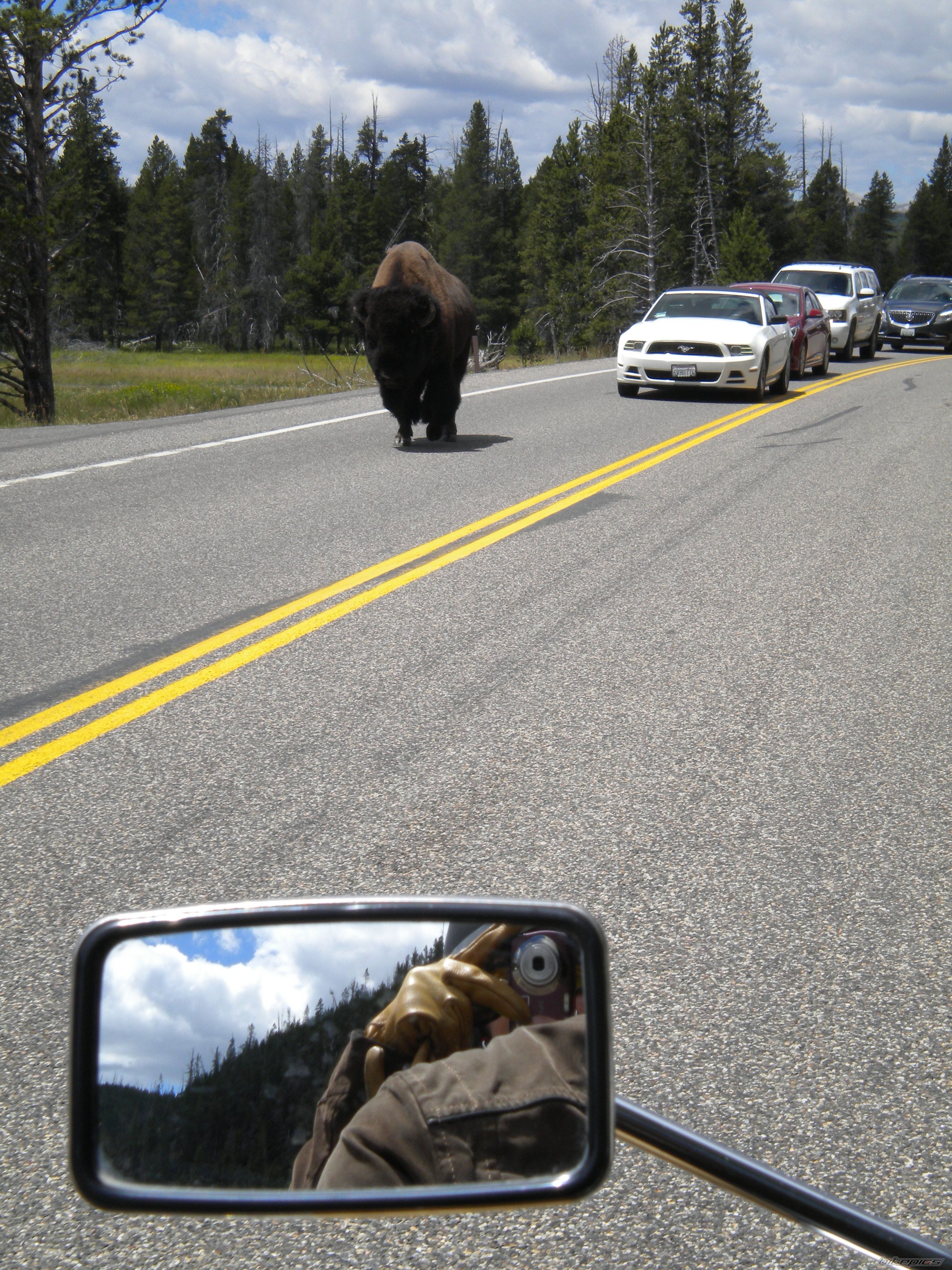 Photo 2752785