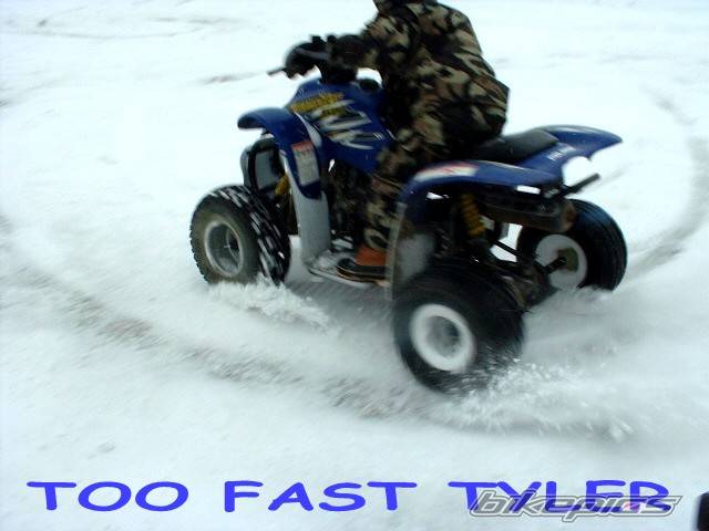 Photo 275293