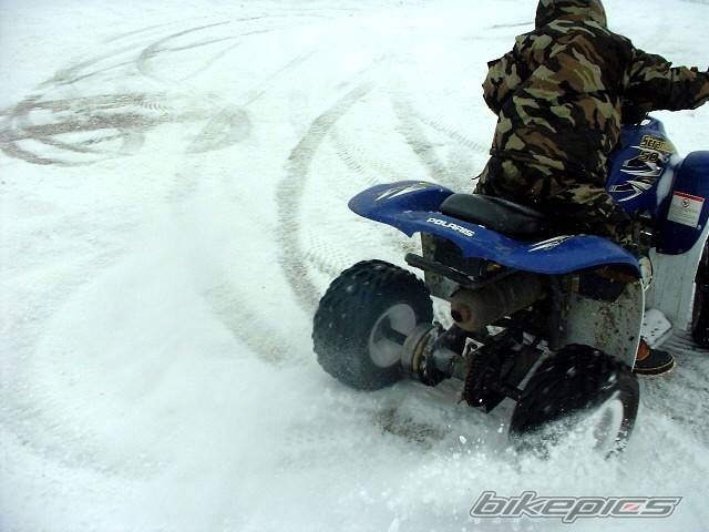 Photo 275308
