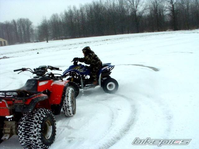 Photo 275310