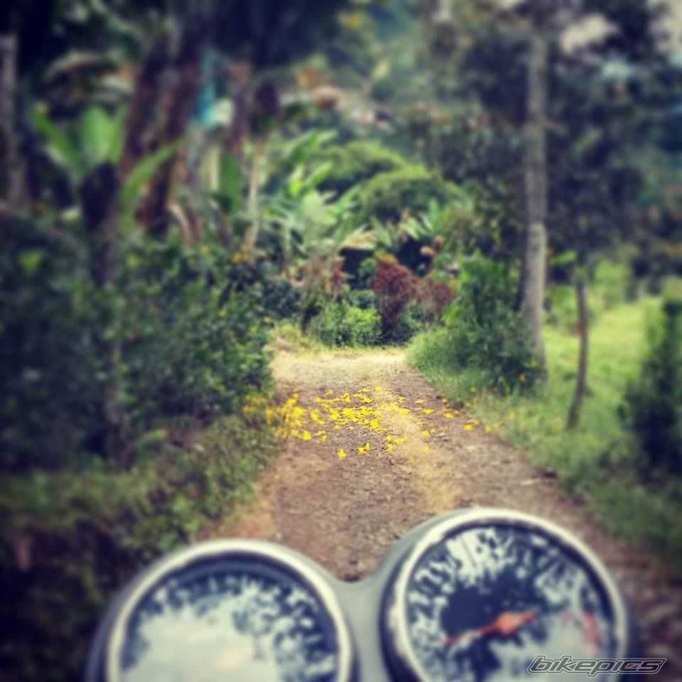Bike Photo 2753199