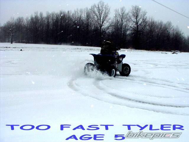 Photo 275320