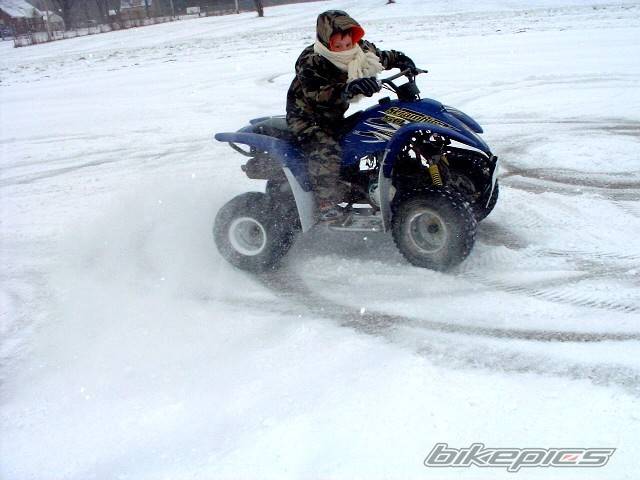 Photo 275325