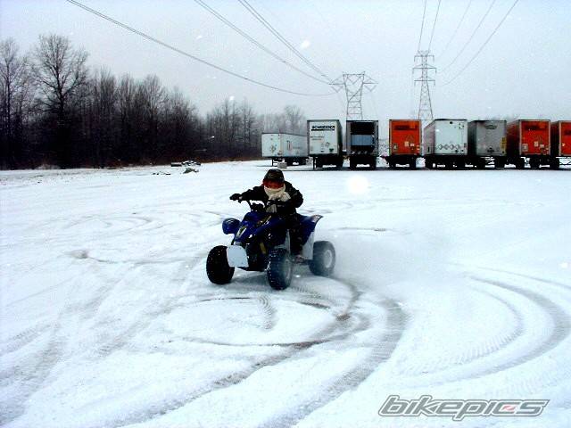 Photo 275326