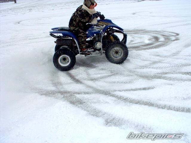 Photo 275328
