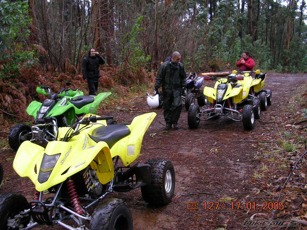 Photo 275329