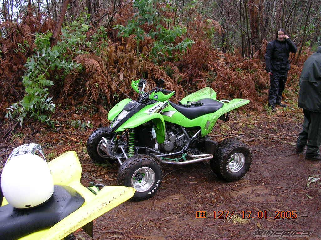 Photo 275330